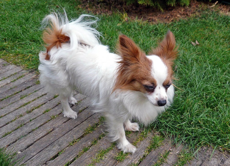 Bloody mary par o'guismo de l'Abbaye de Calmetie